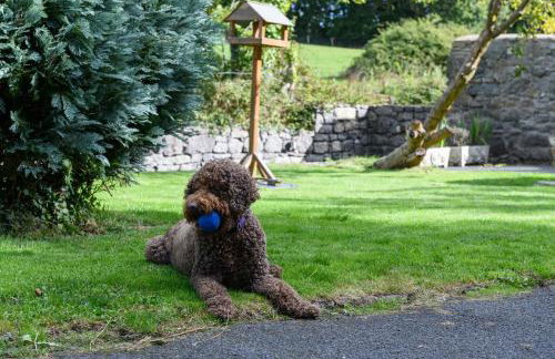 Ty Bach - Beaumaris - Foto 52