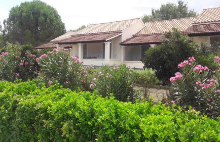 Lemontree Apartments - Foto 44