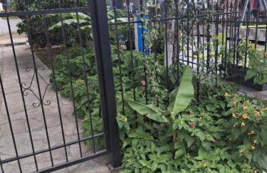 Kalyves holidays - Foto 31