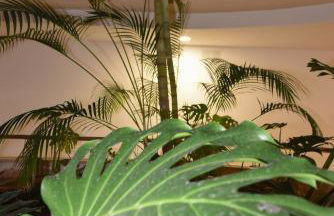 Bryson Home Gigantes - Foto 23