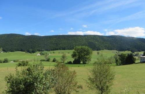 Appartement rénové avec balcon, parking et wifi, près des pistes - Méaudre - FR-1-737-6 - Foto 9