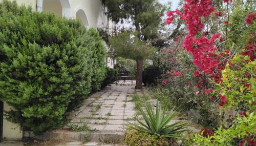 Peaceful oasis - Foto 2