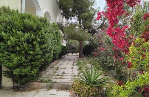 Peaceful oasis - Foto 2