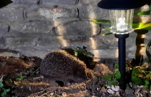 Gîte gold beach - Logis des hirondelles classé 4 étoiles - Photo 39
