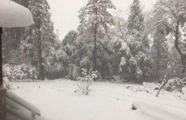 Uncle Grizz's Cabin...get intouch with nature - Foto 42