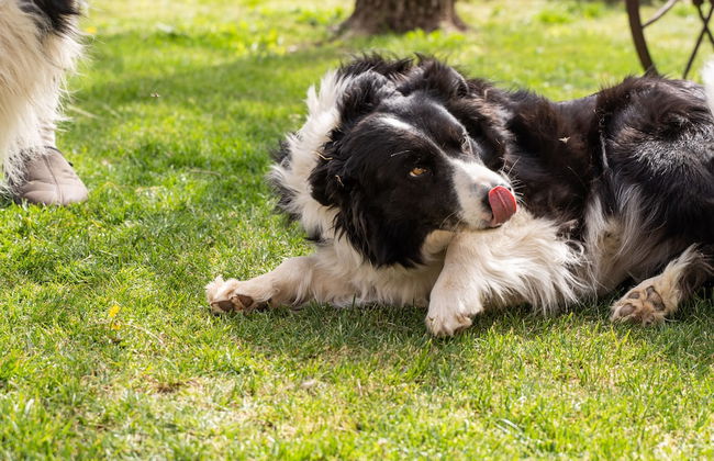 Agriturismo Pozzo Fiorito - Foto 67