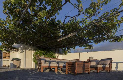 Quinta das Rosas Villas - Photo 8