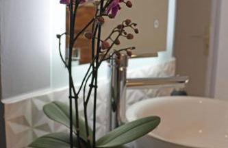 Gîte climatisé "Baugallo Acampadis" - Foto 5