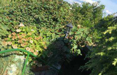 Studio Apartman Lavanda - Foto 16