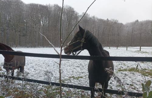 Ferienhof Schmeder-Heide - Foto 20