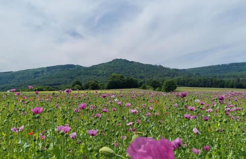 Ferienwohnung am Kupferbach - Foto 16