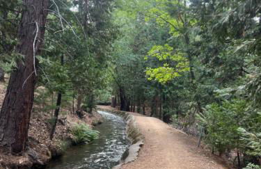 Sierra Haus Cottage with Private Lake Access - Photo 9