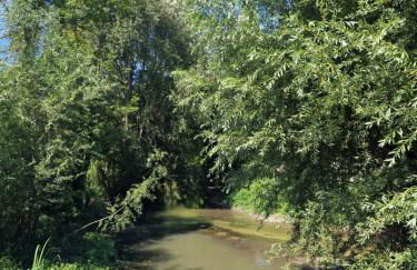 L'entre deux Eaux 'Maison' Balcon 'et Jardin - Foto 27