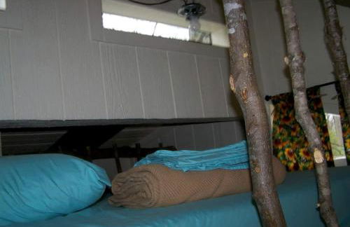 Cozy Wood Shed Tiny House Near Old Hickory Lake w/ Full Kitchen, Fire Pit & Breakfast - Foto 21