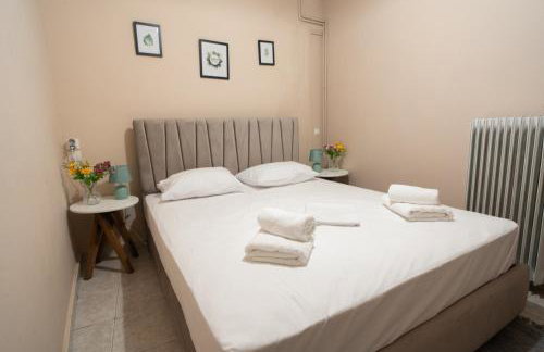 Toma's House - Foto 17