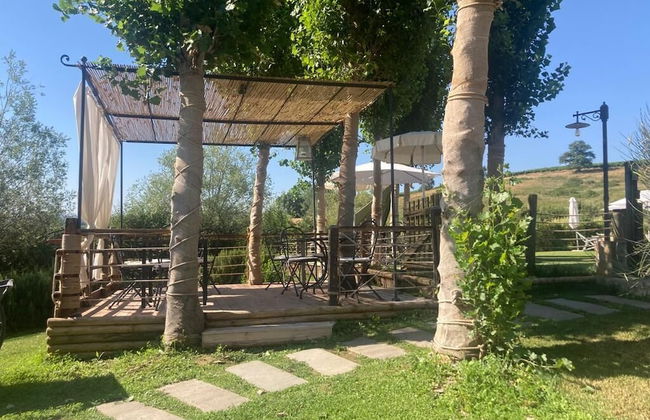 Gatto Bianco Tizzauli - Foto 44