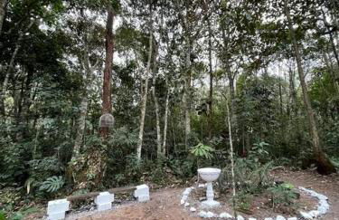 Bosque na Montanha Encantada - Foto 71