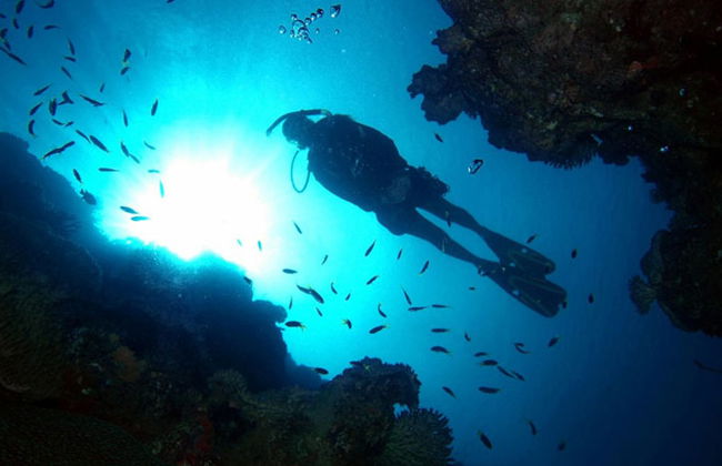 Reef Magic Great Barrier Reef Cruise - Photo 6