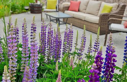 Stunning Mt Rainier Views!tahoma Ridge Cottage - Foto 29