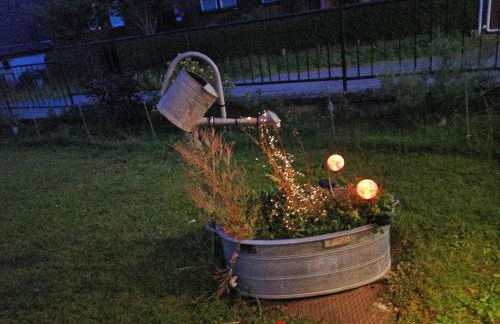 Waldrandzauber - Foto 6