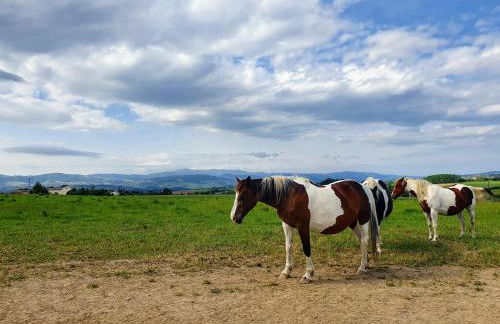 Gîte Les Arches - Foto 43