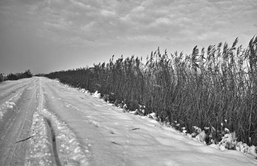 Lüttje Teihn - Foto 27
