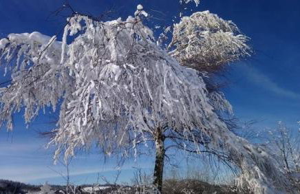 Drewniany dom w brzozowisku - Foto 74