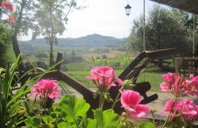 Agriturismo le Spighe - Fattoria Bertaccini - Foto 80