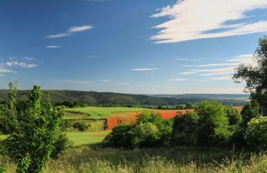 Ferienwohnung an den Grundwiesen - Foto 44