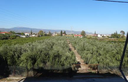 Kostas Family House - Foto 58