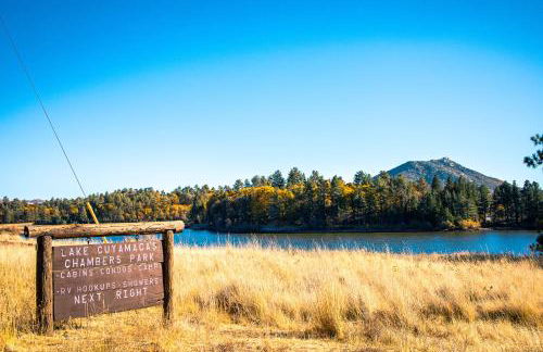 Award-Winning A-Frame with Views and Cedar Hot Tub - Foto 57
