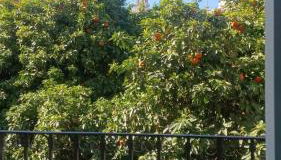 Apartamentos en la Plaza Doña Elvira, 7 - Foto 3