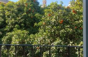 Apartamentos en la Plaza Doña Elvira, 7 - Foto 3