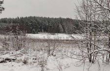 Dom na Kresach Grzybowszczyzna - Photo 14