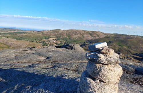 Casa Florestal, na Branda da Bouça dos Homens - Foto 25
