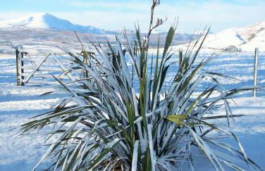 Grisdale View - Foto 22