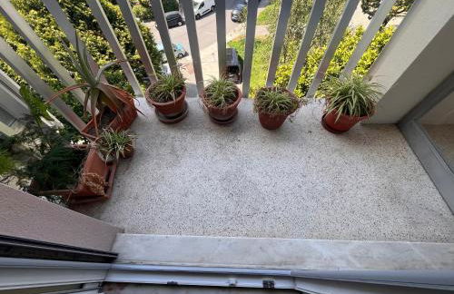 26/3 Casa da Música - Foto 17