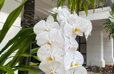 Barra Family Resort, a sua melhor escolha - Foto 7