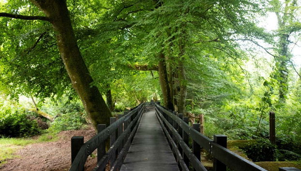 Esplorando il paesaggio naturale della zona