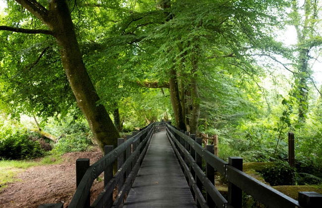 Tour por el Camino de St Declan - Foto 5