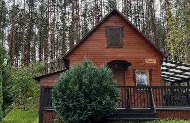 Domek całoroczny HAWAJE nad jeziorem Kazub - Foto 40