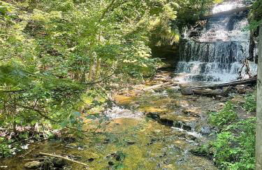 Wagner Creek Hideaway - Foto 18