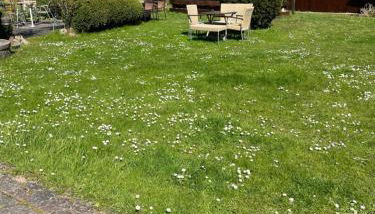 Ferienwohnung Holtz 7 - Foto 3, Garden