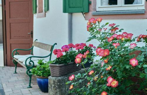 Ferienhaus Wagner - Photo 10