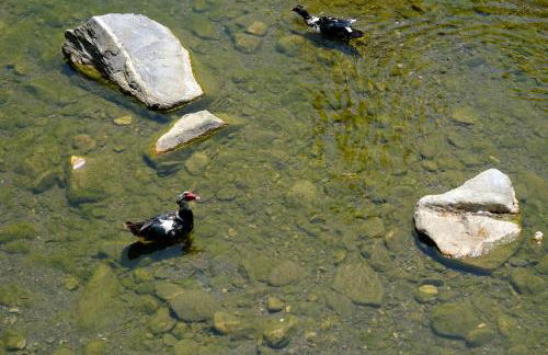 La sosta del Viandante - Foto 64