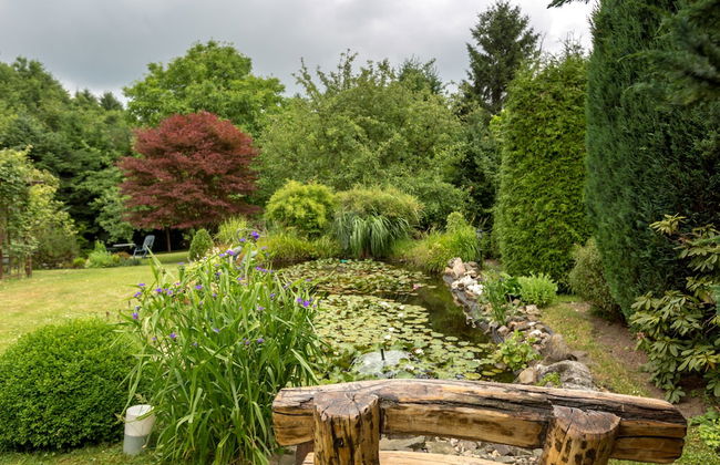 Ferienhaus Domblick Herkenrath - Photo 75