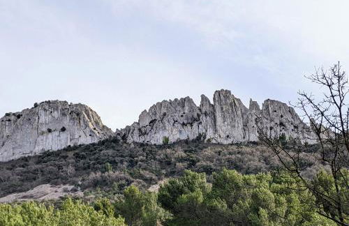 Maisonnette dans domaine avec piscine à Nyons, pays des olives - Foto 17