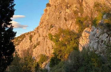 Stara kuća - Photo 35