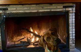 Casa Celia - Photo 2