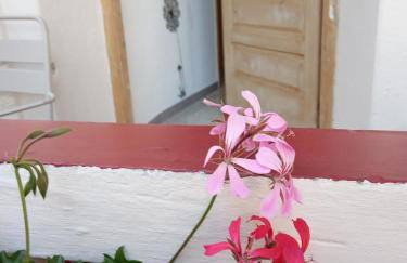 Da Valentina - Photo 17